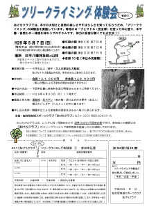 Microsoft Word - ツリー2017-1　チラシ_杉平